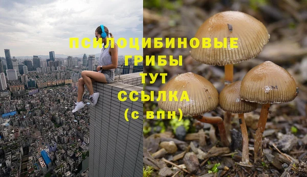 марки lsd Беломорск