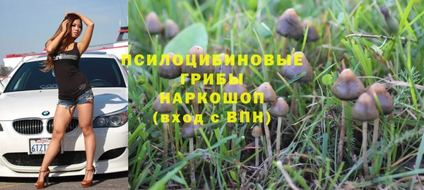 марки lsd Беломорск