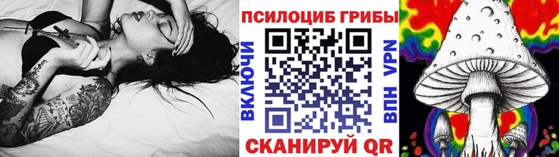 блэк спрут как войти  Валуйки  Псилоцибиновые грибы ЛСД 